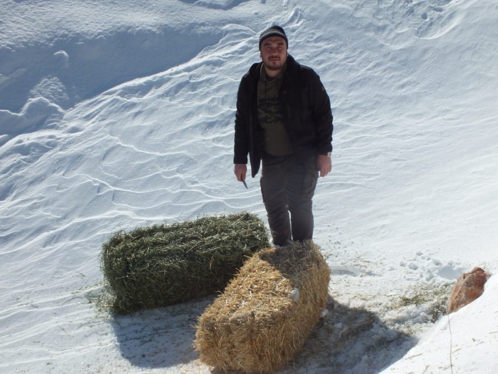 Yaban hayvanları için doğaya 5 ton yem bıraktılar 