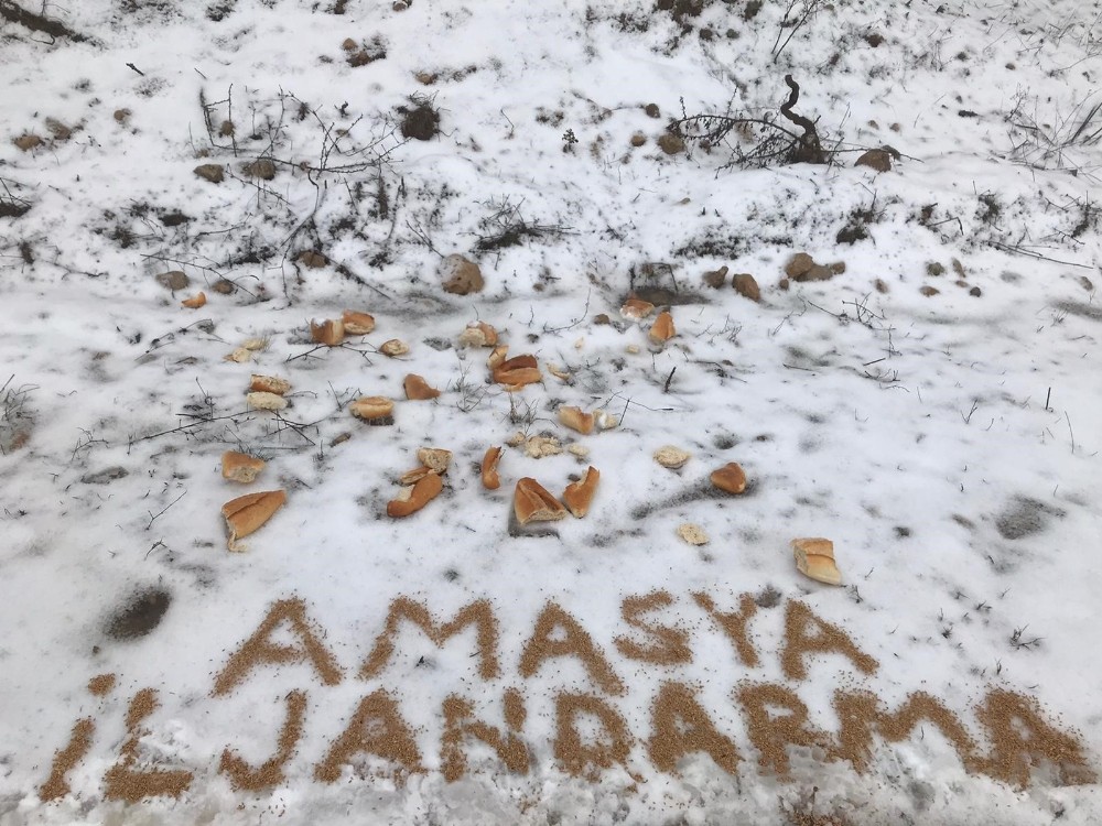 Yaban hayvanları için doğaya yiyecek bırakıldı 