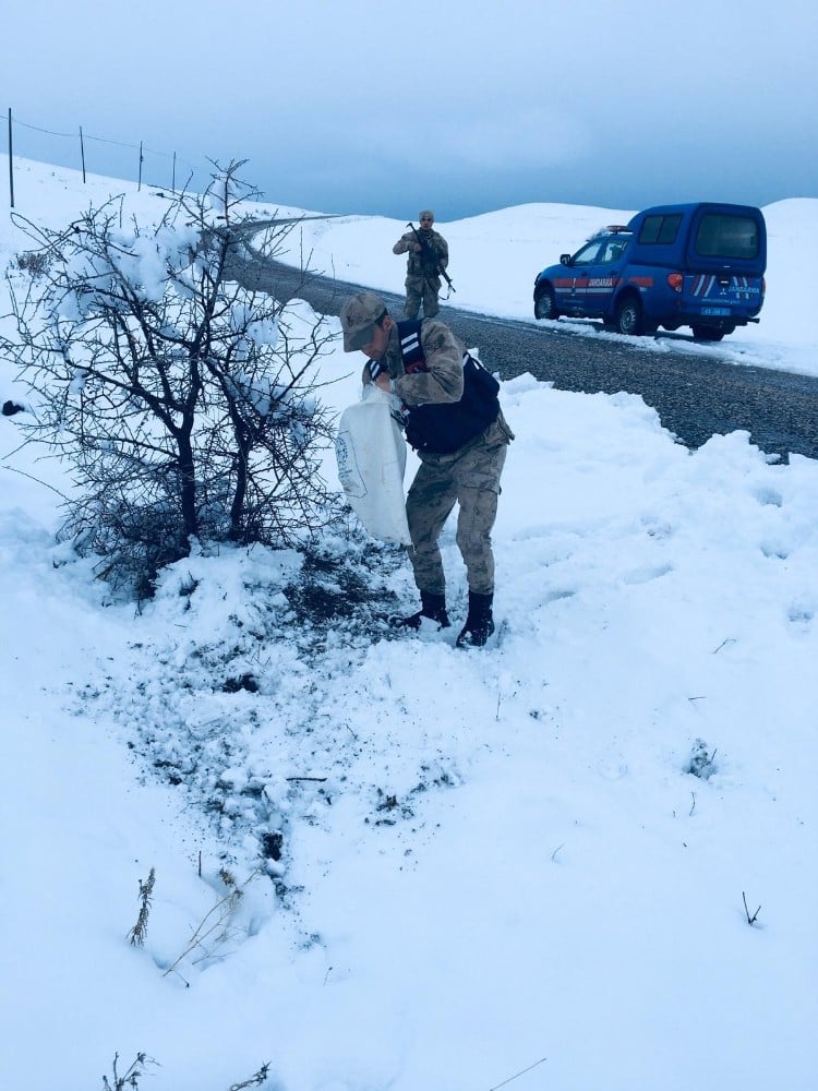 Yaban hayvanlarına Jandarma şefkatı 