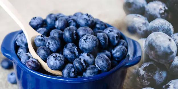 Yaban mersininin faydaları nelerdir? Dünyanın en çok tüketilen mavi yemiş