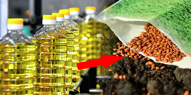 Yabancı firma bölgeye gelip tohumlar dağıtınca olanlar oldu! Ayçiçek yağı fiyatlarını sarsacak gelişme