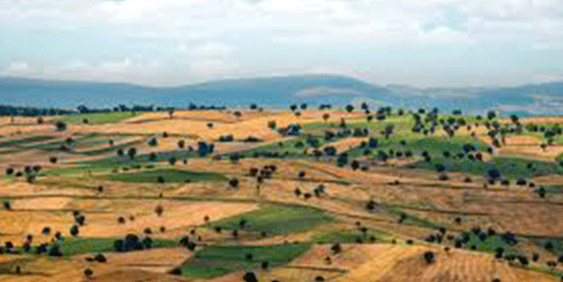 Yabancılar bir ilimize göz dikti! Çılgınlar gibi arazi topluyorlar