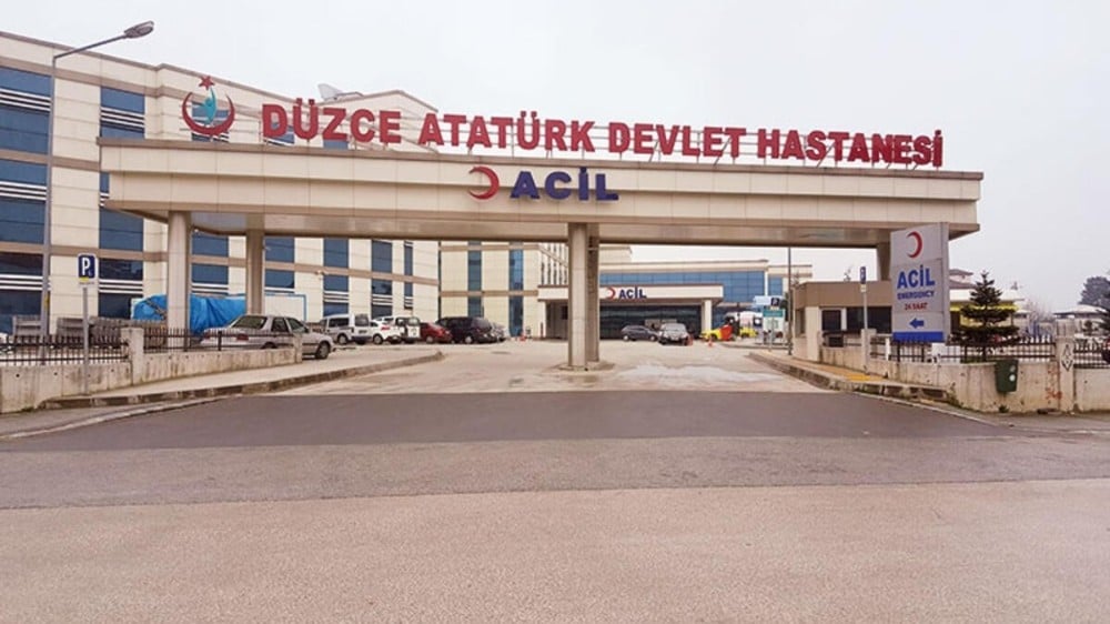 Yabani arıların saldırdığı kadın hastanelik oldu 