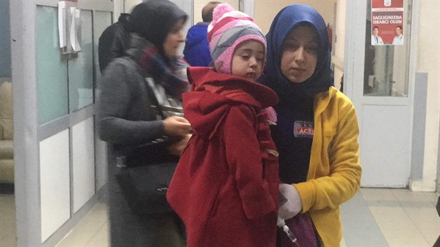 Yabani at kestanesi yiyen 7 kişi hastanelik oldu