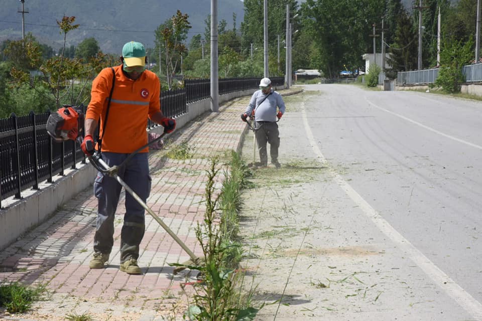 Yabanı otlar temizlendi 