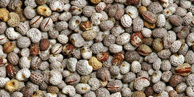 Yağ yaktırır! Vücuttaki sarkıkları önler