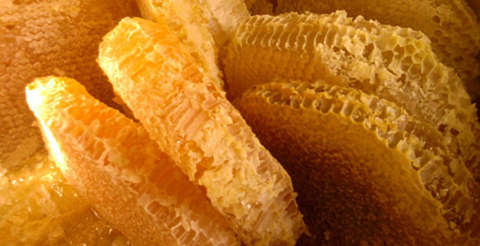 Yağışlar bal rekoltesini yarı yarıya düşürdü