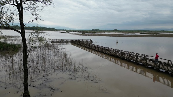 Yağışlar Efteni Gölü'ne can suyu oldu