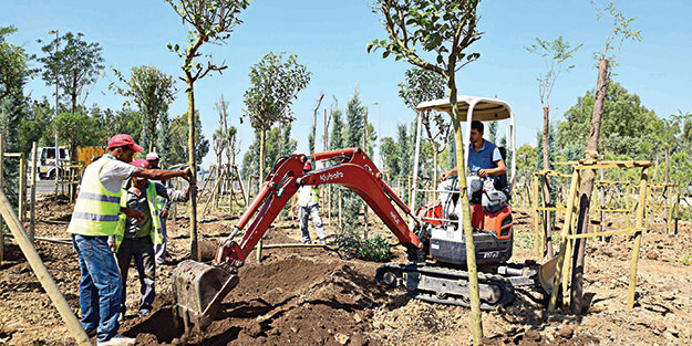 Yağışlar hububatta verimliliği düşürdü