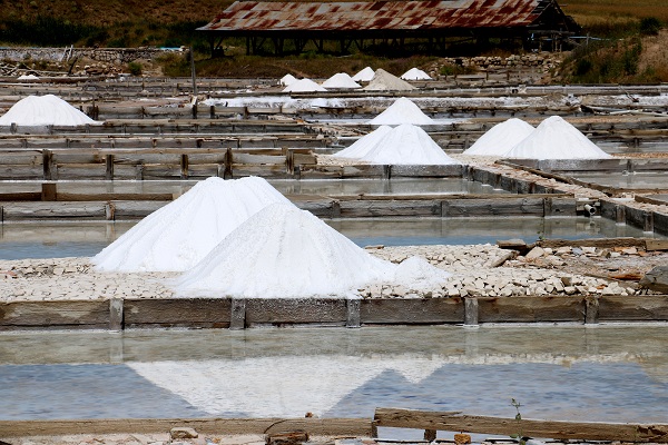 Yağışlar tuz hasadını etkiledi
