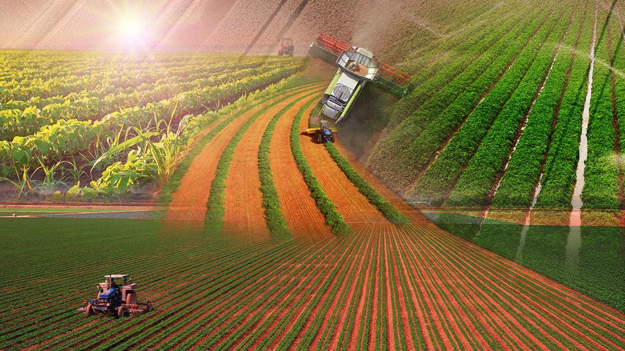 Yağmur bereketiyle geldi! Su kaynaklarına ve tarımsal üretime olumlu yansıdı