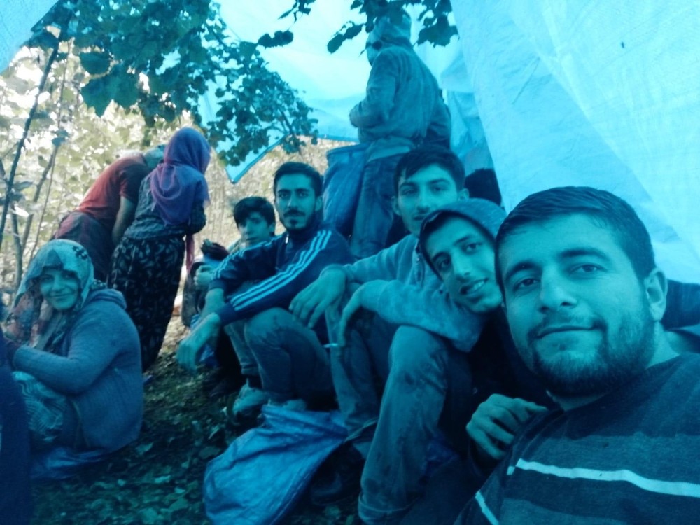 Yağmur çamur fındık hasadı 
