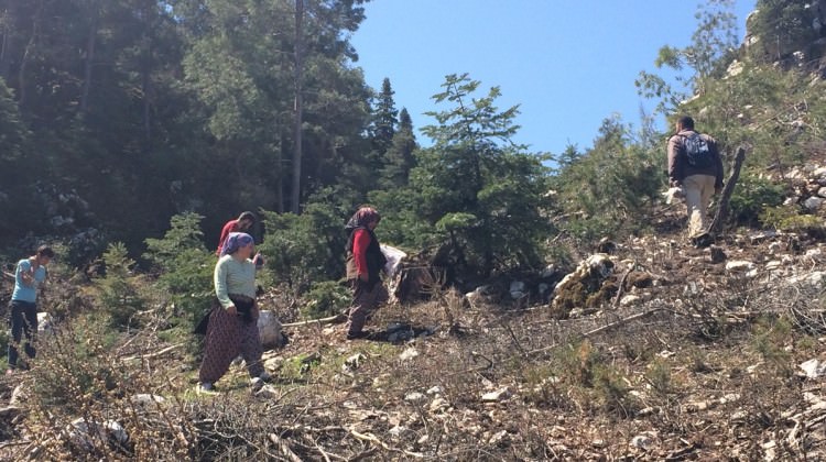 Yağmur diner dinmez tüm ilçe oraya koşuyor