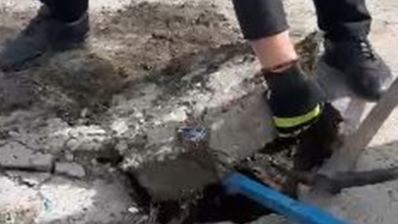 Yağmur suyu hattına düşen yavru ördek kurtarıldı