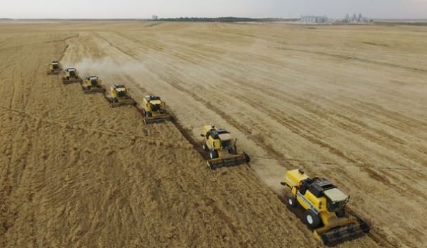 Yağmur yağdı, kayıp yüzde 50 oldu