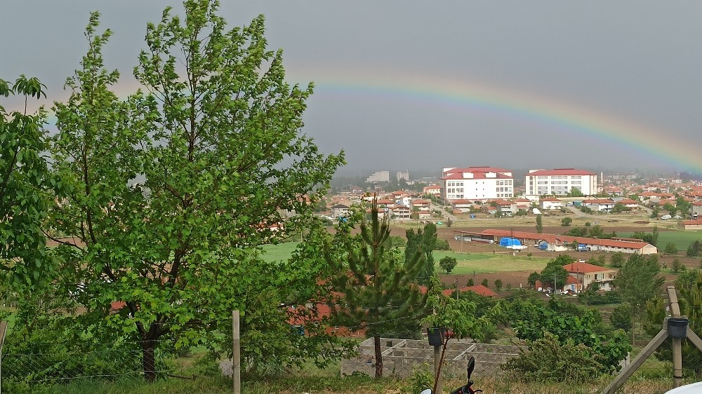 Yağmurun ardından gelen güzellik 