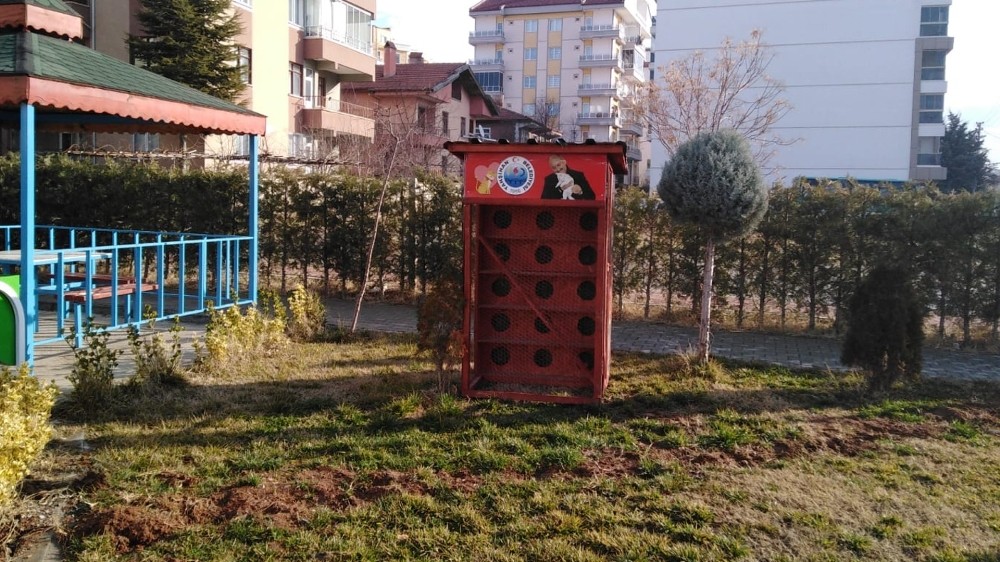 Yahşihan’da kedi sığınma evleri konuşlandırıldı 