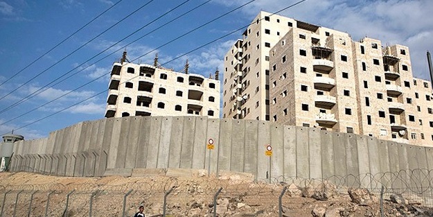 Yahudi yerleşimciler 300 zeytin fidanını söktü