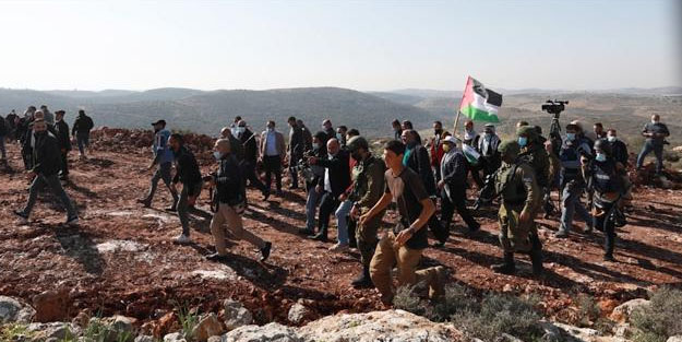 Yahudi yerleşimciler Filistinlilere ait yüzlerce zeytin ağacını söktü!