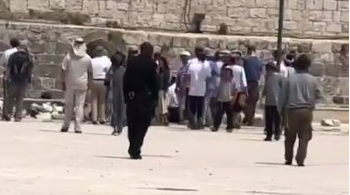 Yahudi yerleşimciler yine Mescid-i Aksa’yı bastı!