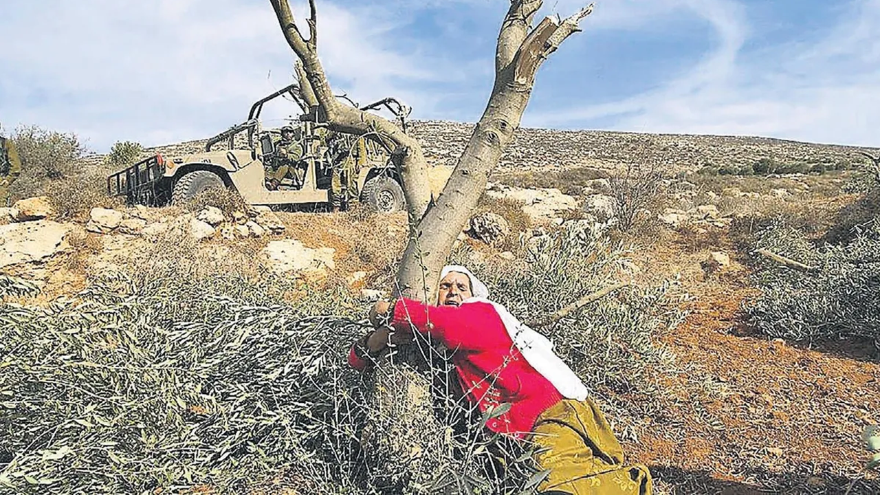 Yahudiler Filistinlilerin arazilerine el koymaya başladı!