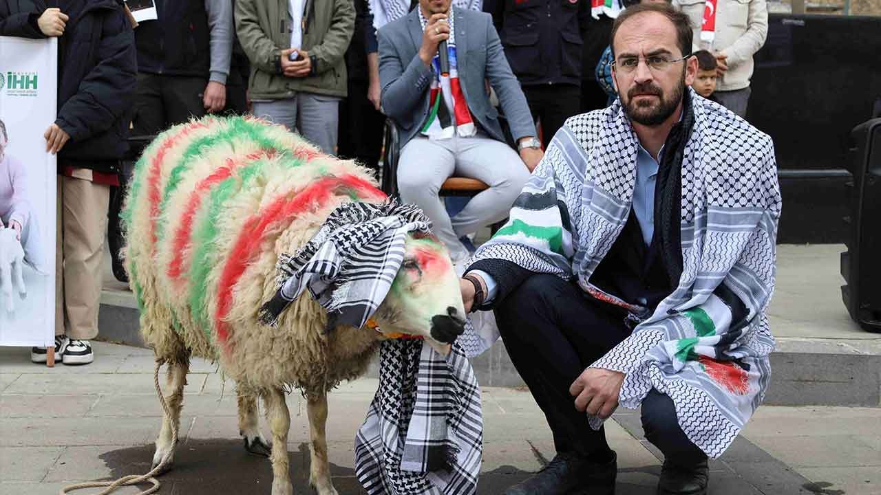 Yahyalı'dan Gazze'ye merhamet köprüsü! 12 yaşındaki Ecrin'in kuzusu 100 bin TL'lik dev bir yardıma dönüştü!