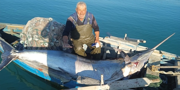 Yakaladıkları dev balık tam 274 kilo!