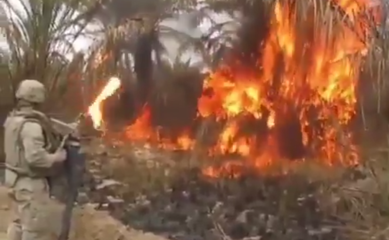 Yakan Yanar! ABD ordusu Irak’ın güneyindeki hurma bahçelerini böyle yakmıştı