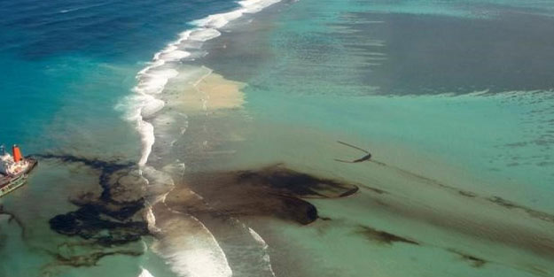 Yakıtınıza ortak olan bakteriler doğayı kurtaracak!