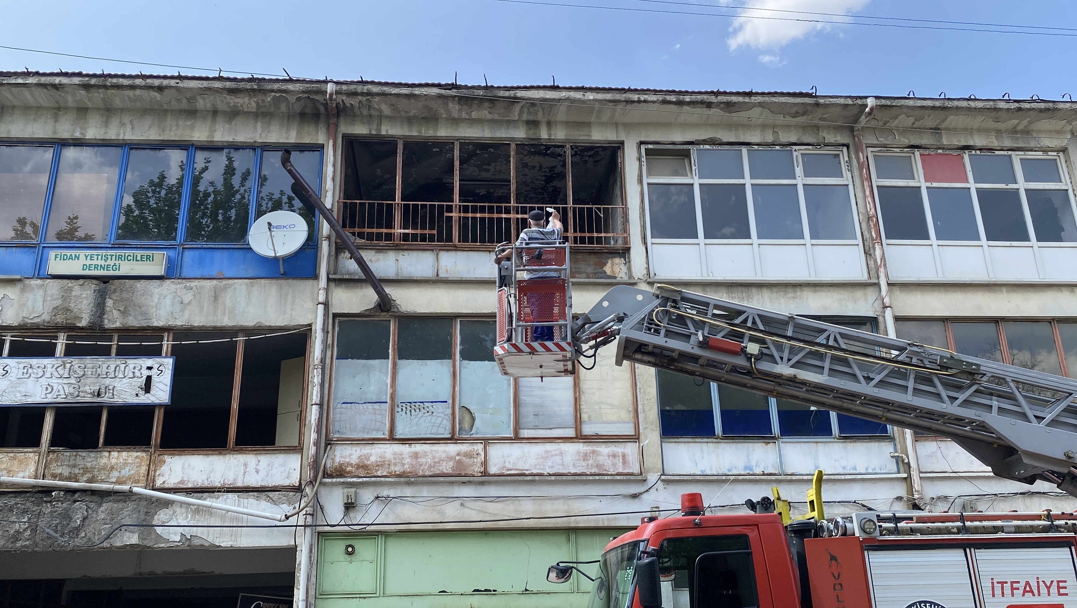 Yaklaşık 2 haftadır depoda mahsur kalan 6 köpek kurtarıldı