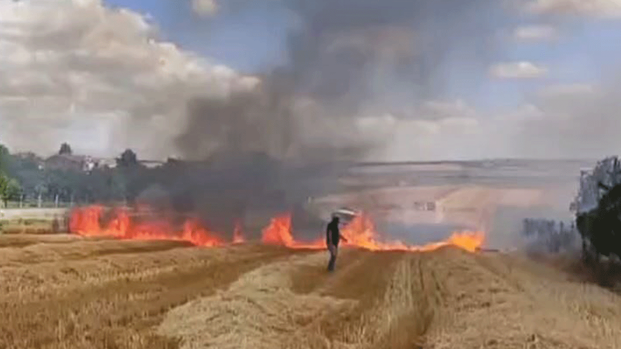 Yaktığı tarlada yanarak öldü