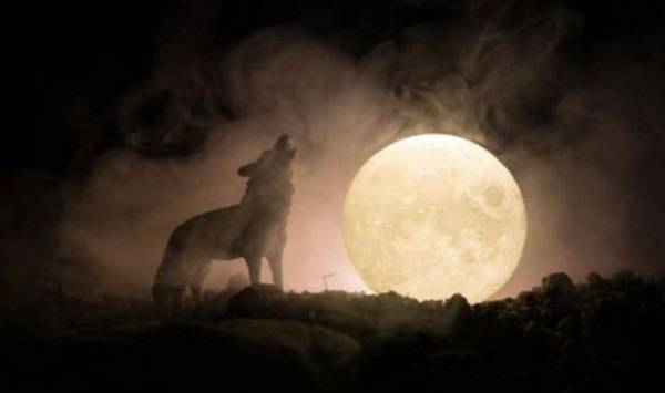 Yalnız Kurt konusu nedir? ATV Yalnız Kurt ne zaman başlayacak?