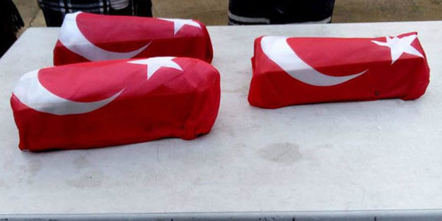 Yalnızca 1 gün hayatta kalabildiler!