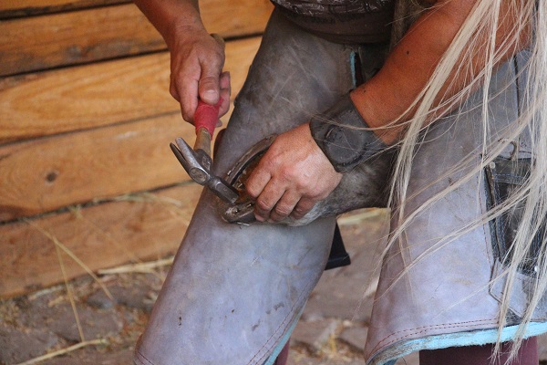 Yalnızca boş vakitlerinde bu işi yapıyor! Aylık kazancı 60 bini buluyor