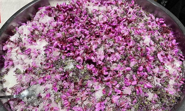 Yalnızca İstanbul’un sembolü değil! Adeta tam bir şifa deposu