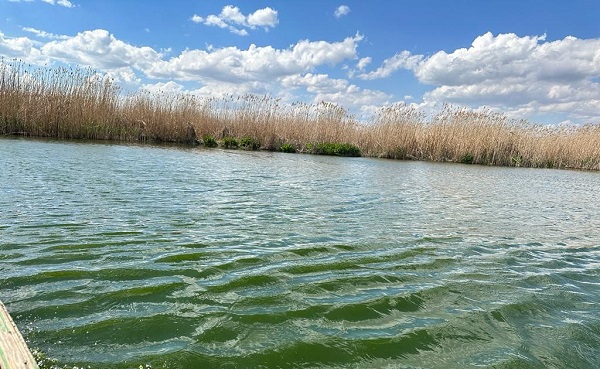 Yalnızca kuraklık değil yangınlardan da etkilendi! İşte, Eber Gölü'nün son hali