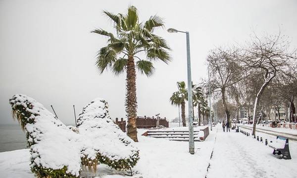 Yalova kamu çalışanları izinli mi?