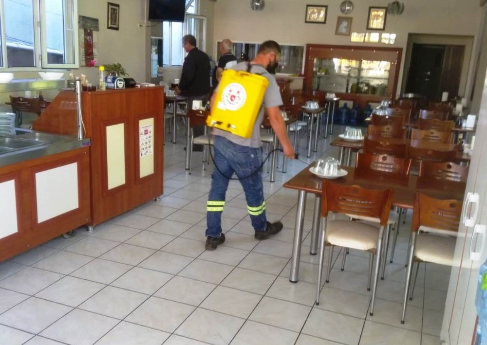 Yalova, pazartesi gününe hazır 