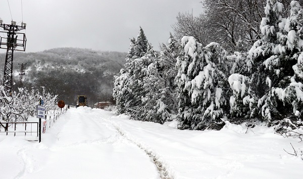 Yalova yarın okullar var mı? Yalova okullar tatil mi?