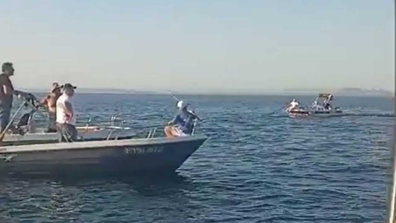 Yalova'da korku dolu anlar! Geminin çarptığı tekne battı