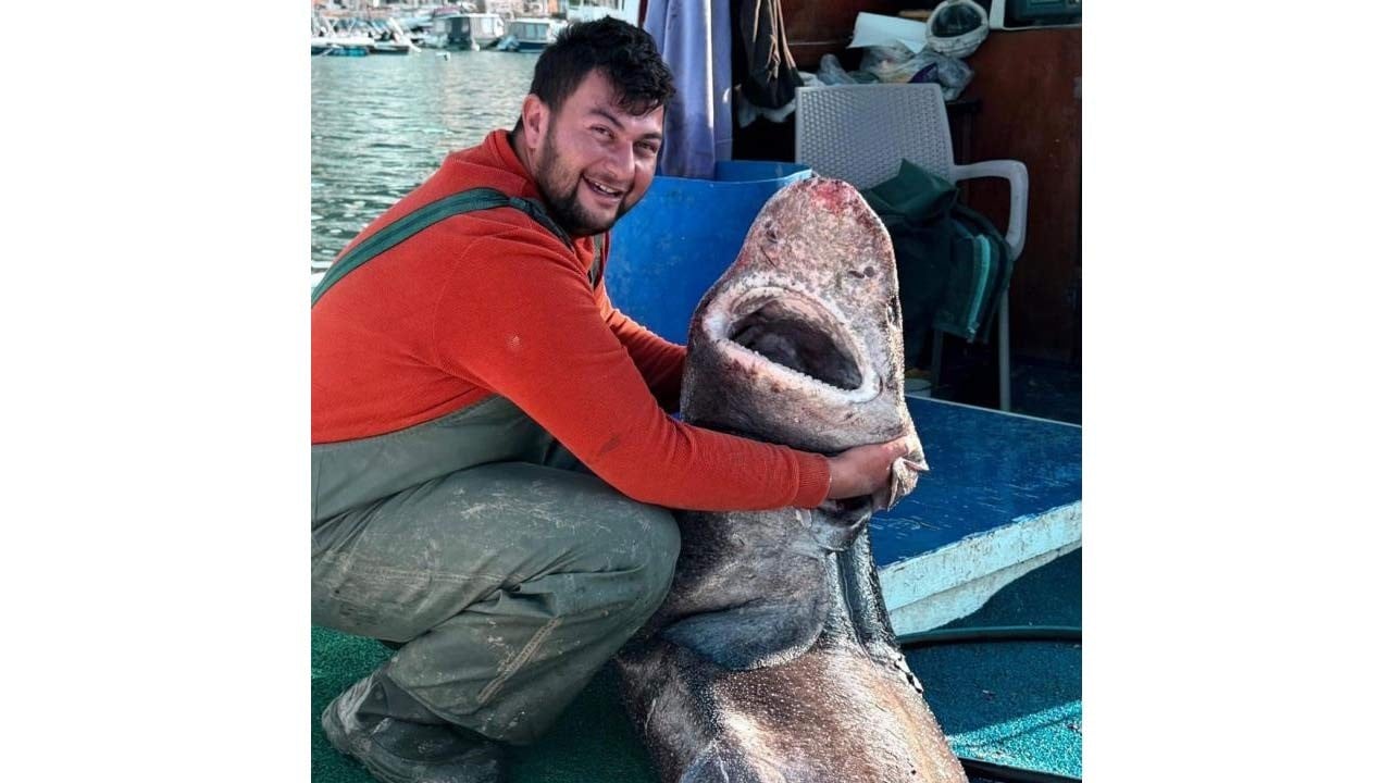 Yalova'da yakalandı: Tam 4 metre!