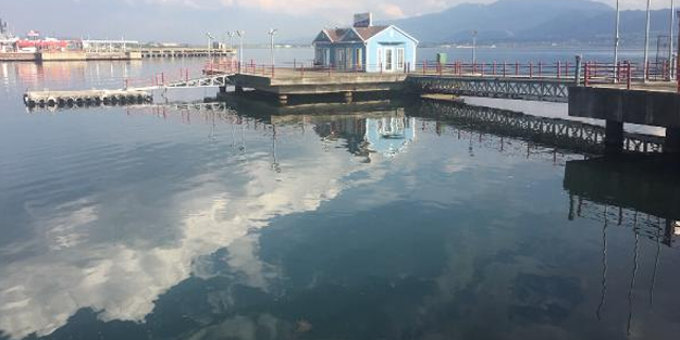 Yalova'dan sonra şimdi de Kocaeli! Deniz suyu hızla çekildi