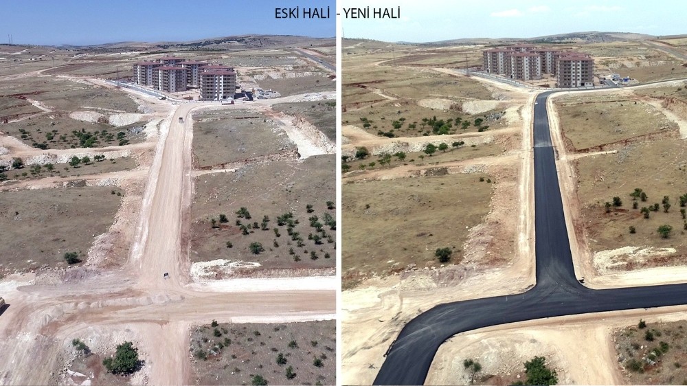 Yamaçta hummalı çalışma 