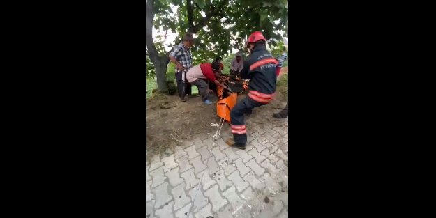 Yamaçtan yuvarlanan ineği itfaiye ekipleri kurtardı