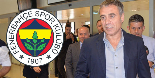 Yanal kararını verdi! İşte Fenerbahçe'nin yeni forveti