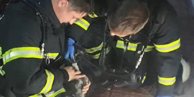 Yanan evden çıkardığı kediyi oksijen vererek kurtardı