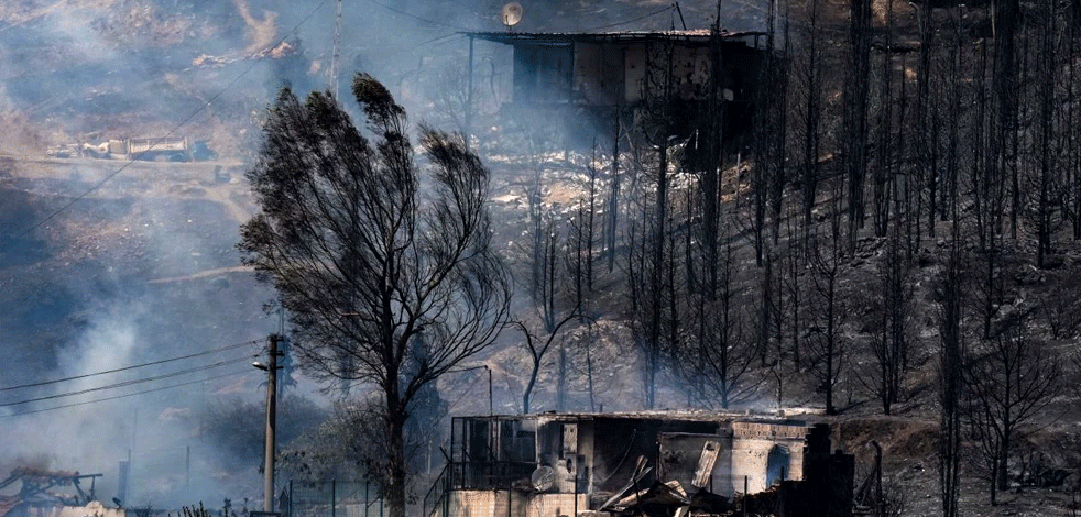 Yanan ormanlar imara mı açılıyor? Bakan Yumaklı noktayı koydu! Muhalefetin bir yalanı daha çürütüldü