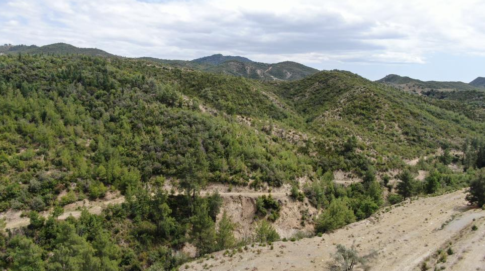 Yanan ormanlardaki otellere bakın otellere