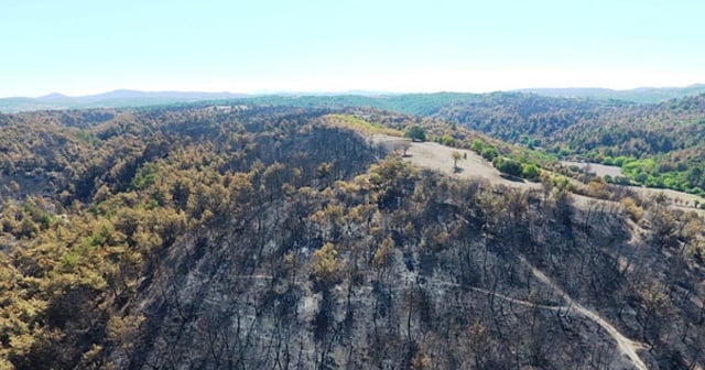 Yanan ormanlık alanlar drone ile görüntülendi