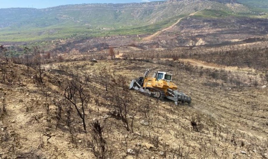 Yanan ormanlık alanlarda ağaçlandırma çalışmalarına başlandı